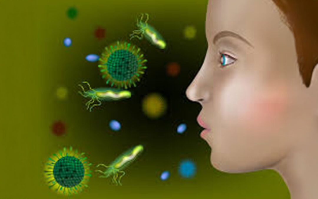 ¿Cuáles son las enfermedades más comunes?