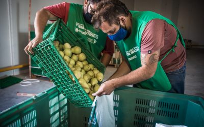 Los Bancos de Alimentos reafirman su compromiso con una alimentación segura, saludable y sostenible para todos