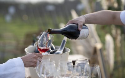 Restaurantes con estrellas Michelin, invitados de Brasil y más de 100 bodegas: vuelve La Morada Food & Wine Fest al Valle de Uco