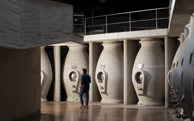 ZUCCARDI VALLE DE UCO CELEBRA 10 AÑOS:  UNA BODEGA NACIDA DEL VIÑEDO